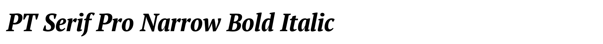 PT Serif Pro Narrow Bold Italic image